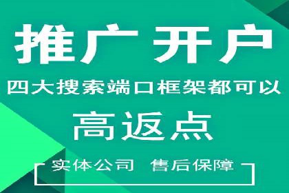 某品牌SEM代运营的成长历程与启示